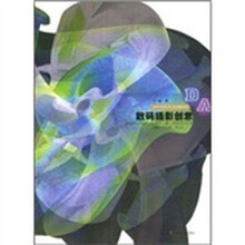 高等学校数字设计艺术教材系列：数码摄影创意