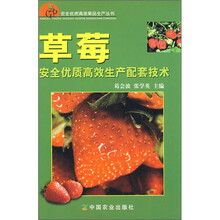 草莓安全优质高效生产配套技术