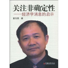 关注非确定性：经济学消息的启示