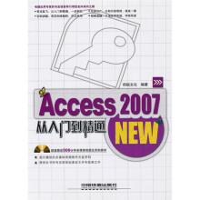 Access2007从入门到精通(附CD-ROM光盘1张)