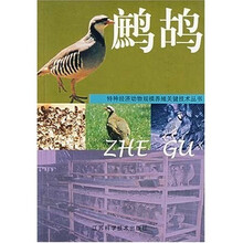 鹧鸪