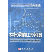 木材化学镀镍工艺学基础