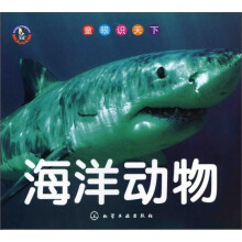 童眼识天下：海洋动物