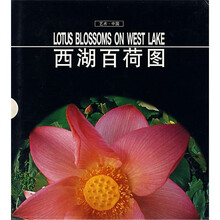 西湖百荷图