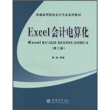 Excel会计电算化(第2版)