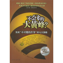 不会飞的大黄蜂?:完成“不可能的任务”的七大策略