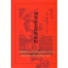 钢铁是怎样炼成的