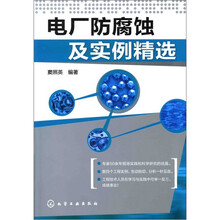 电厂防腐蚀及实例精选