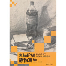 素描阶梯：静物写生