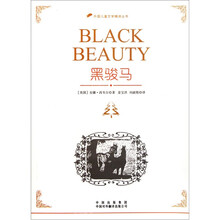 黑骏马
