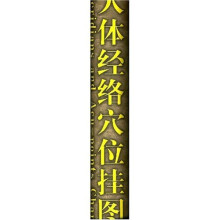 人体经络穴位挂图