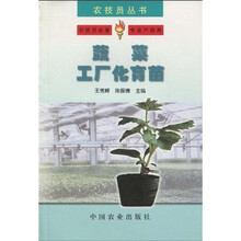 蔬菜工厂化育苗