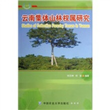 云南集体山林权属研究