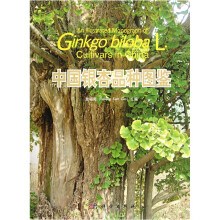 中国银杏品种图鉴