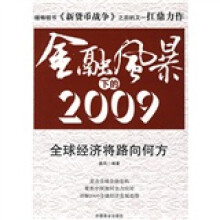 金融风暴下的2009