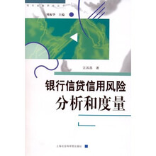 银行信贷信用风险分析和度量