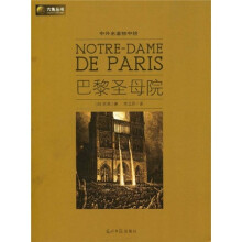 六角丛书·中外名著榜中榜：巴黎圣母院