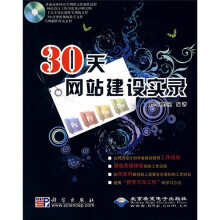 30天网站建设实录（附赠DVD光盘1张）