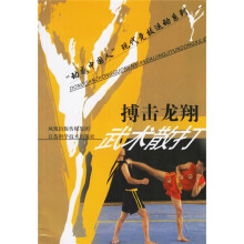 搏击龙翔：武术散打