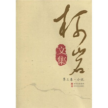 柯岩文集：第3卷·小说