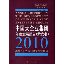 中国大企业集团年度发展报告（紫皮书）（2010）