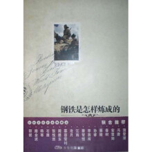 钢铁是怎样炼成的(苏联)