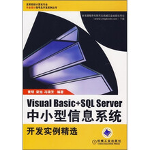 Visual Basic+SQL Server中小型信息系统开发实例精选