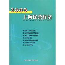 2009上海民营经济