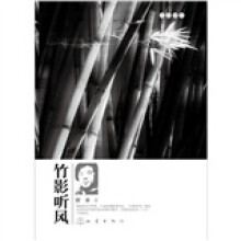 竹影听风