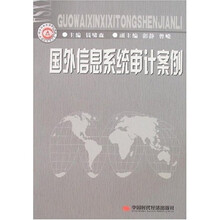 国外信息系统审计案例