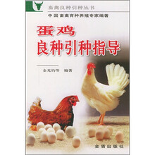 蛋鸡良种引种指导
