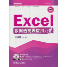 Excel数据透视表应用之道(含CD光盘1张)(双色)