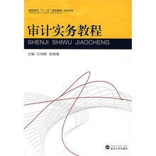 高职高专“十一五”规划教材·财会系列：审计实务教程