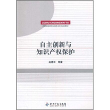 自主创新与知识产权保护
