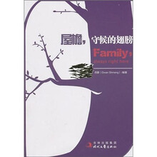 屋檐守候的翅膀