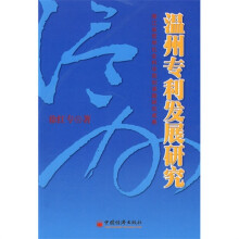 温州专利发展研究