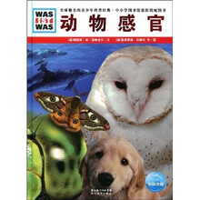 动物感官