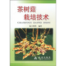茶树菇栽培技术