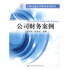 公司财务案例