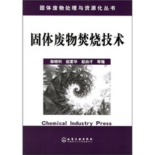 固体废物焚烧技术