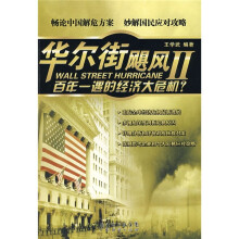 华尔街飓风Ⅱ:百年一遇的经济大危机