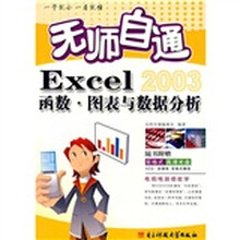 无师自通:Excel 2003函数·图表与数据分析(附CD光盘1张)