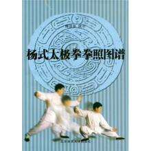 杨式太极拳拳照图谱