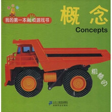我的第一本触摸游戏书：粗糙的概念