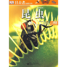 目击者家庭图书馆：昆虫（全彩）