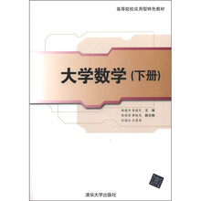 大学数学（下高等院校应用型特色教材）