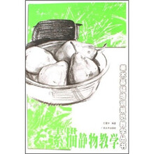素描静物教学