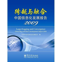 跨越与融合：中国信息化发展报告2009