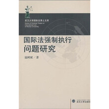 国际法强制执行问题研究