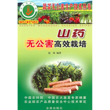 山药无公害高效栽培